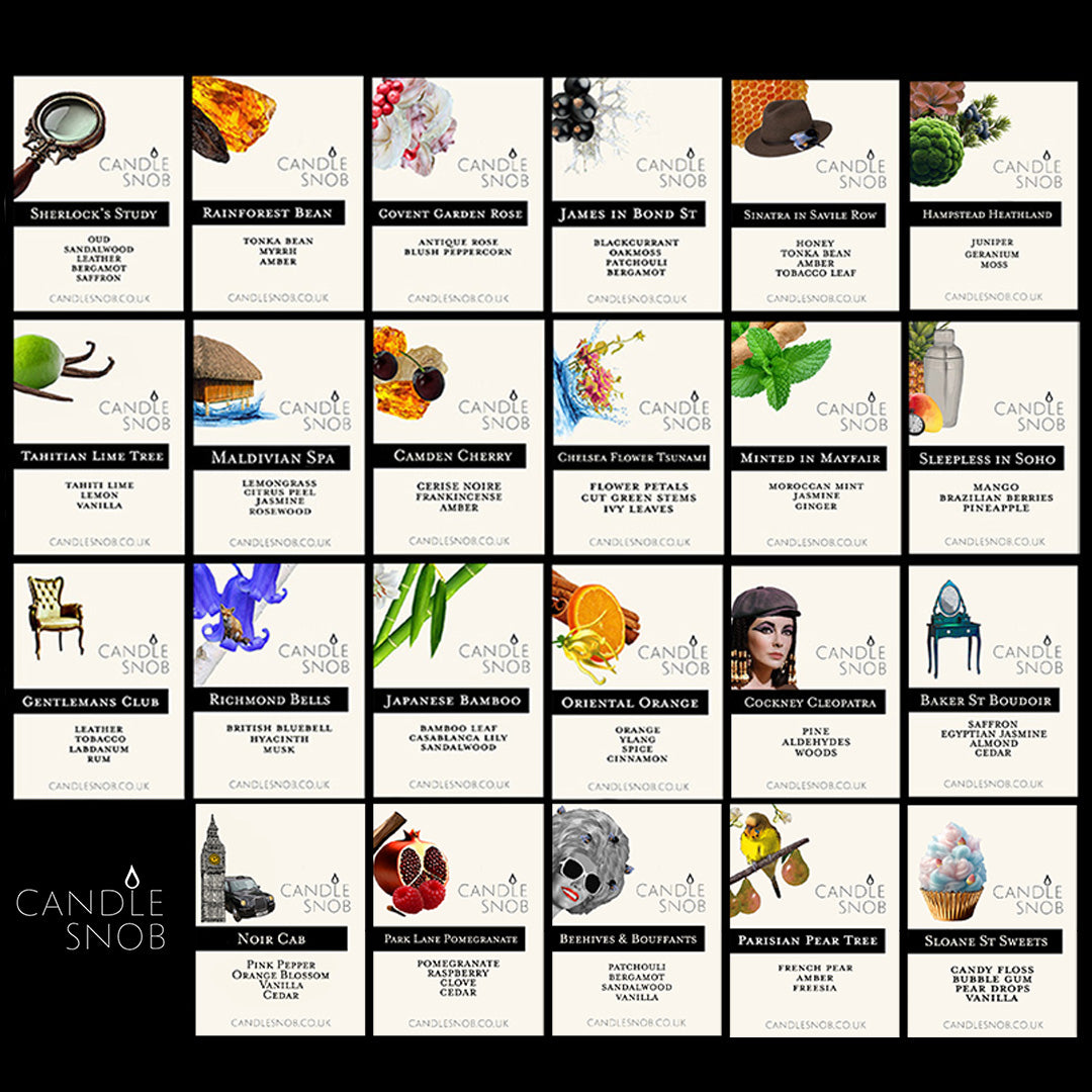 Candle Snob Wax Melt Sample Box Fragrances