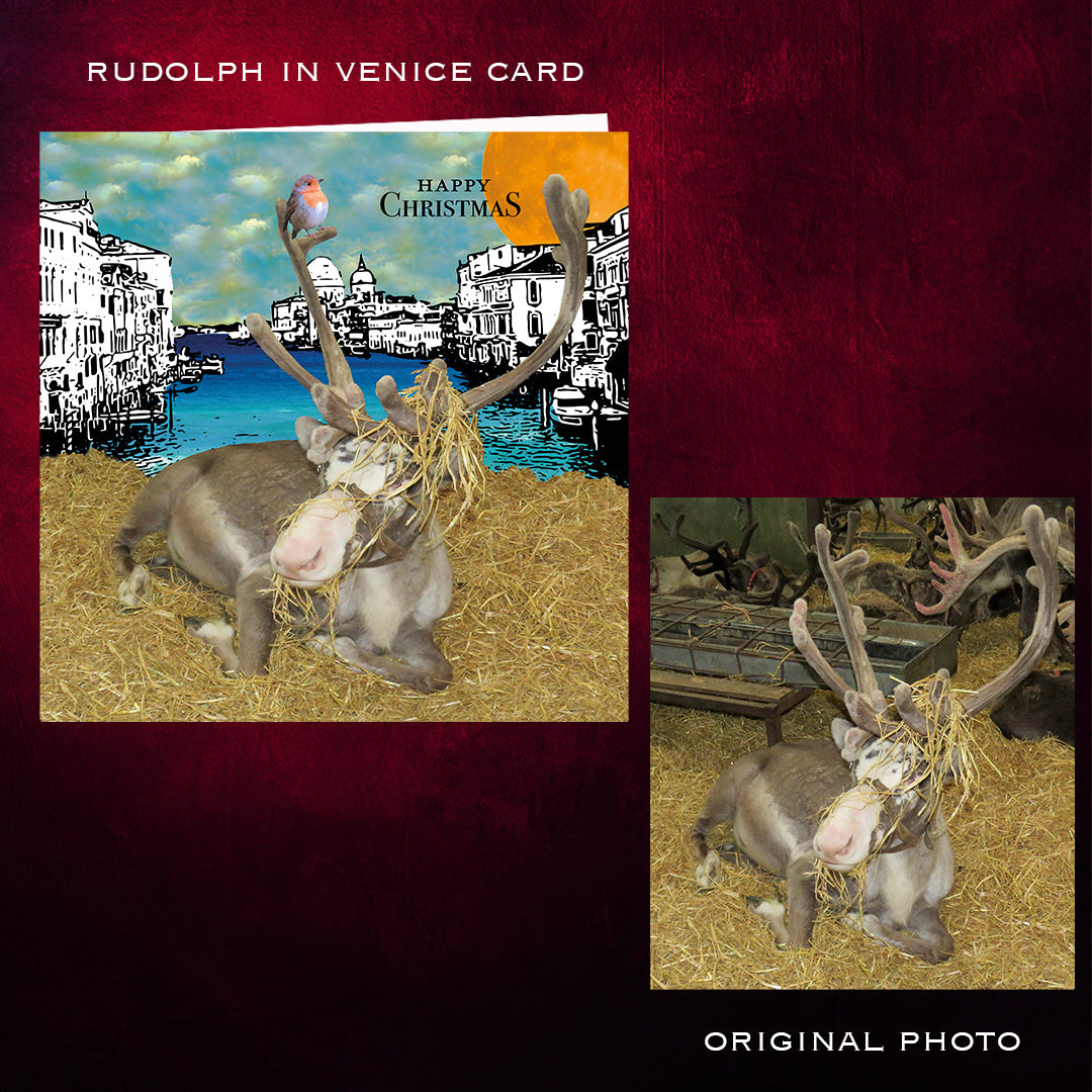 Rudolph in Venice | Christmas Card