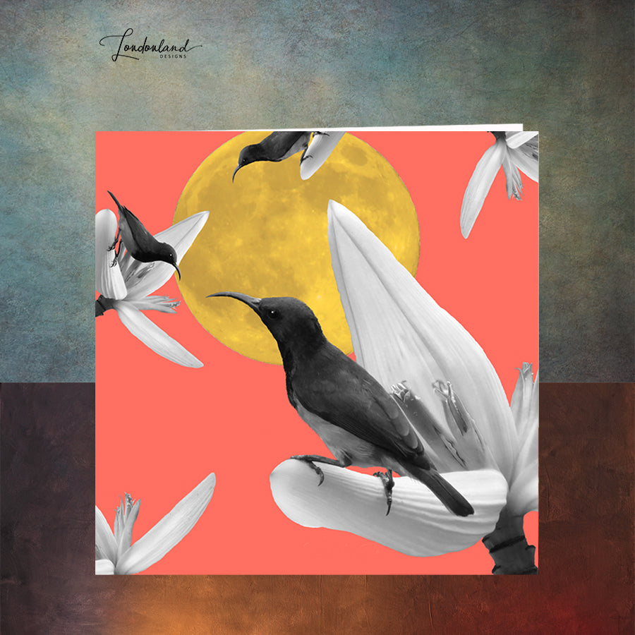 Hummingbird Moonlight Greeting Card