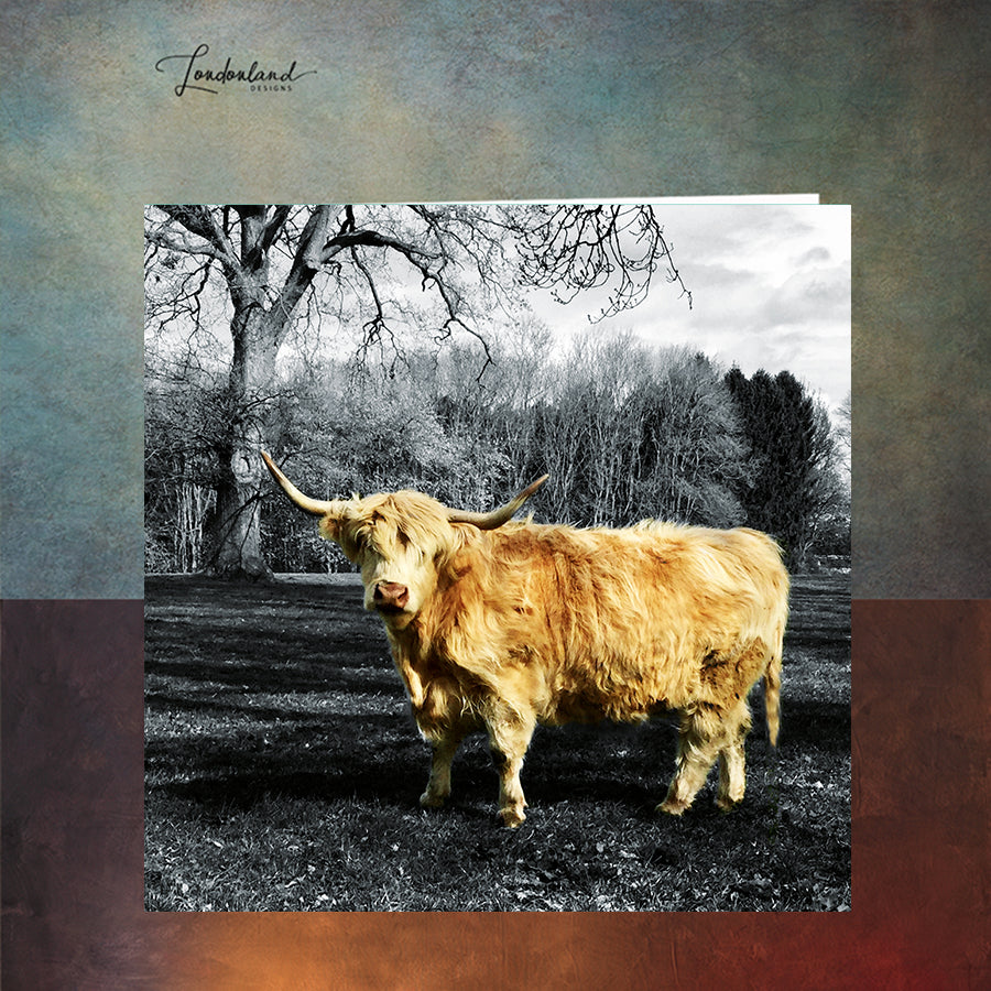 Blonde Moo Scottish Highland Cattle Cow Greeting Card