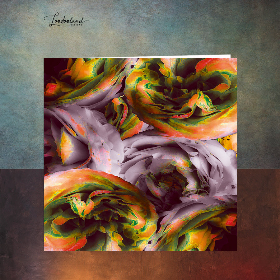 English Rose Greeting Card