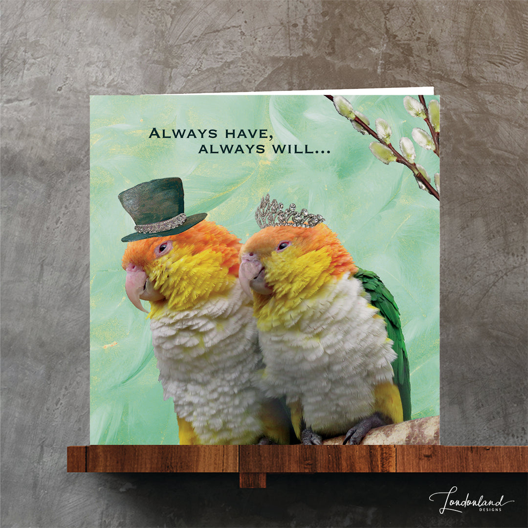 Always Have Always Will, Quirky Budgie Birds Love Greeting Card for anniversary or valentines day