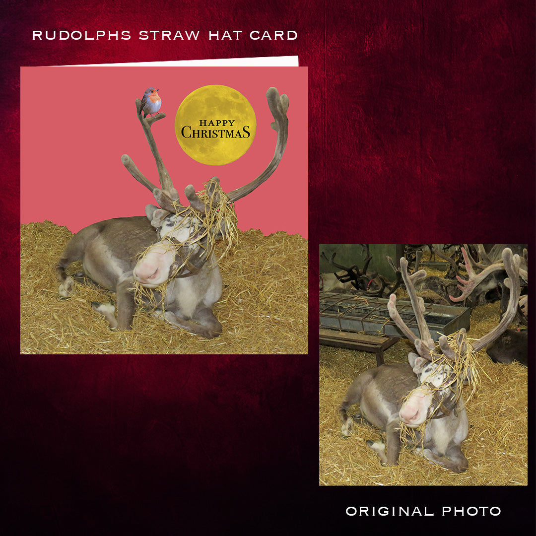 Christmas card with reindeer and straw hat, labeled 'Rudolph's Straw Hat Card', on a red background.