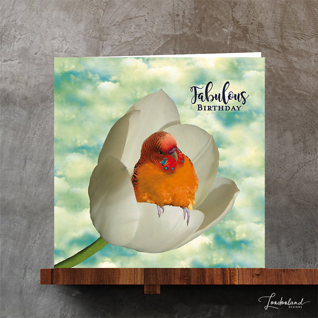Fabulous Budgie, Orange Bird & White Tulip Birthday card