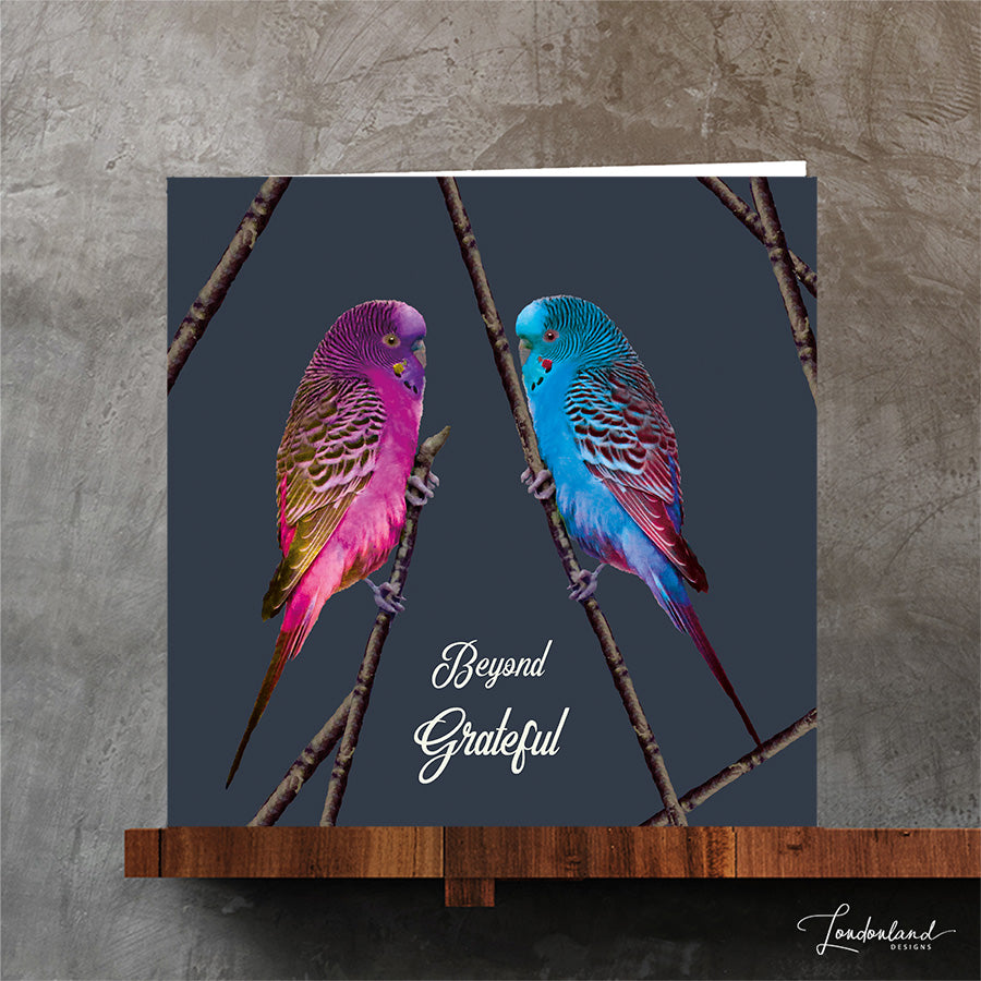 Blue and pink Budgie birds on twigs thank you card with Beyond Grateful wording on a blue background. By Londonland Designs