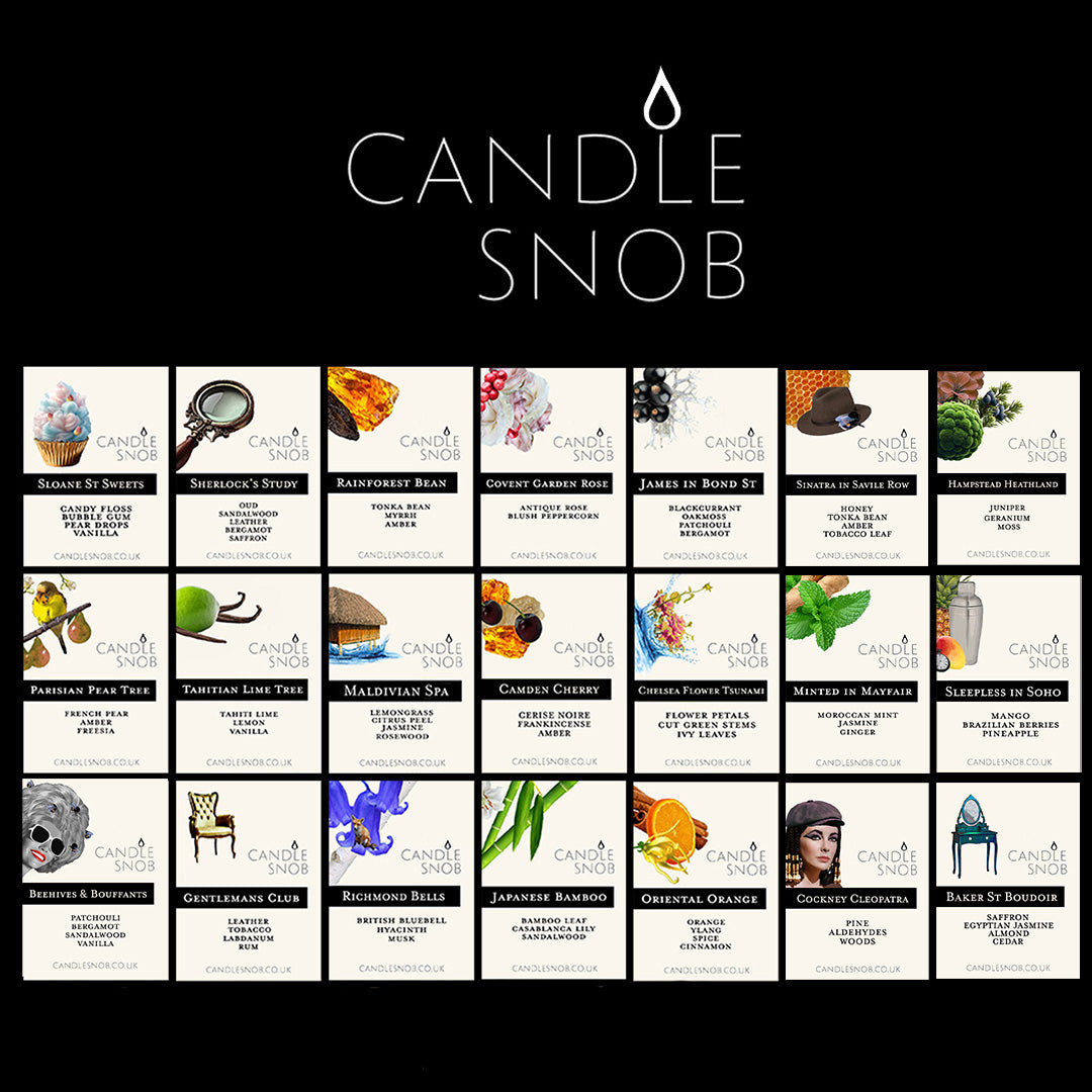 Candle Snob Wax Melt Sample Box Fragrances