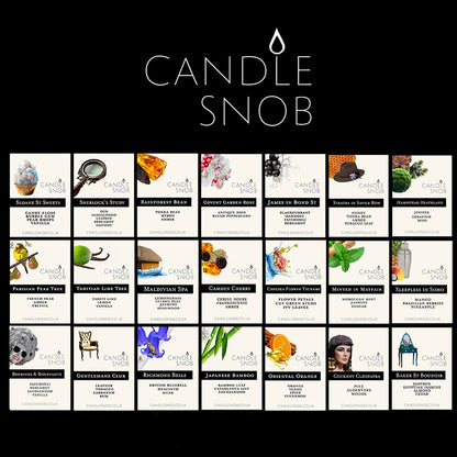 Candle Snob Wax Melt Sample Box Fragrances