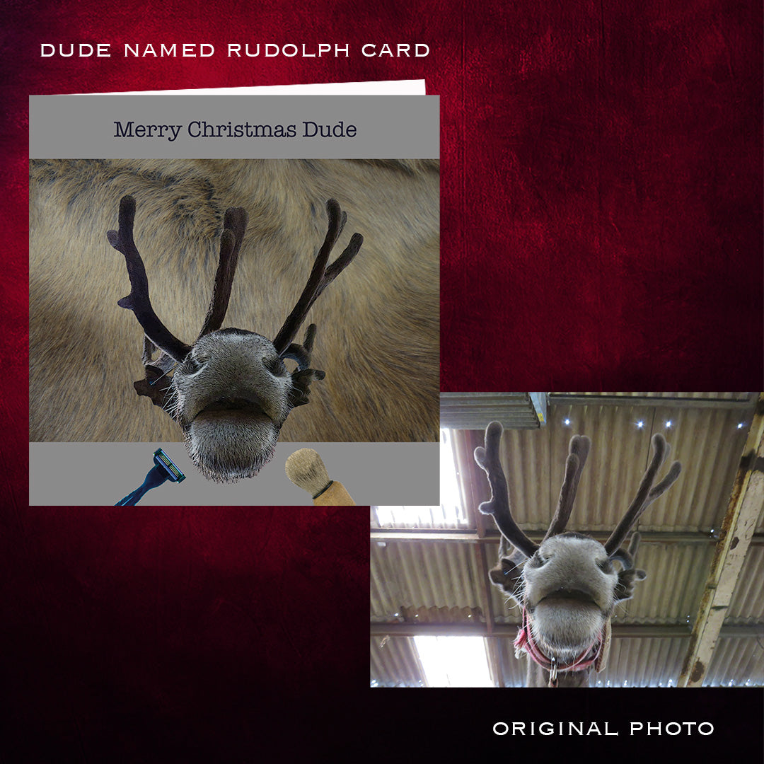 Card with reindeer photo and text 'Dude Named Rudolph Card' on a red background. Before and after design process.