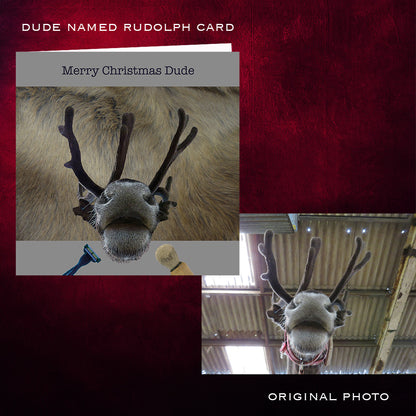 Card with reindeer photo and text 'Dude Named Rudolph Card' on a red background. Before and after design process.