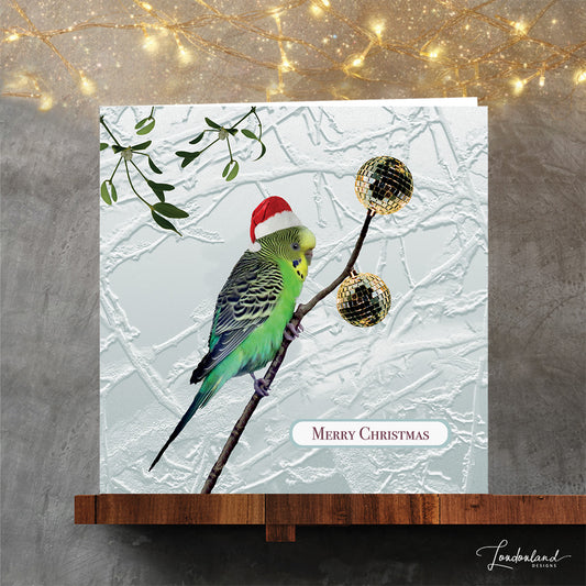 Christmas card with a green budgie and disco balls on an icy twig background