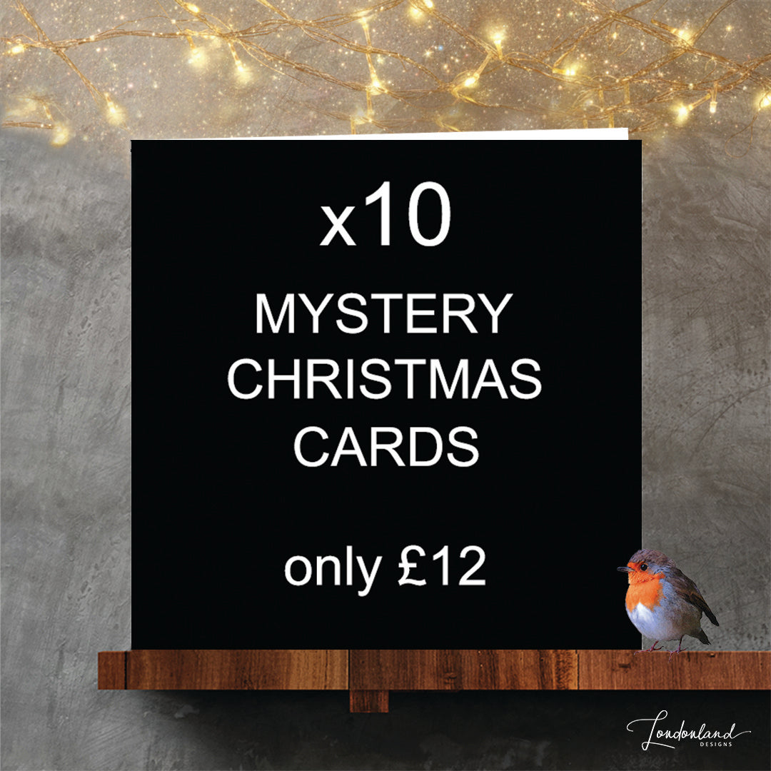 Promotional graphic for 10 mystery Christmas cards for £12 with a robin on a shelf.