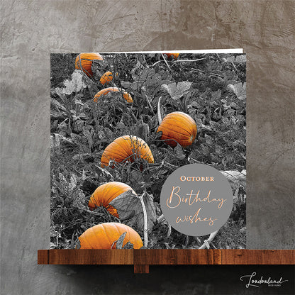 A square greeting card featuring a black and white photograph of pumpkins in a field with orange highlights, plus a gray circle reading 'October Birthday wishes.'  Original photograph by Londonland Designs.