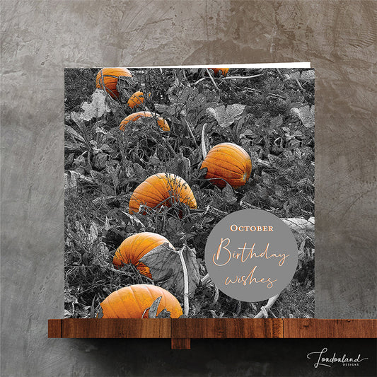 A square greeting card featuring a black and white photograph of pumpkins in a field with orange highlights, plus a gray circle reading 'October Birthday wishes.'  Original photograph by Londonland Designs.