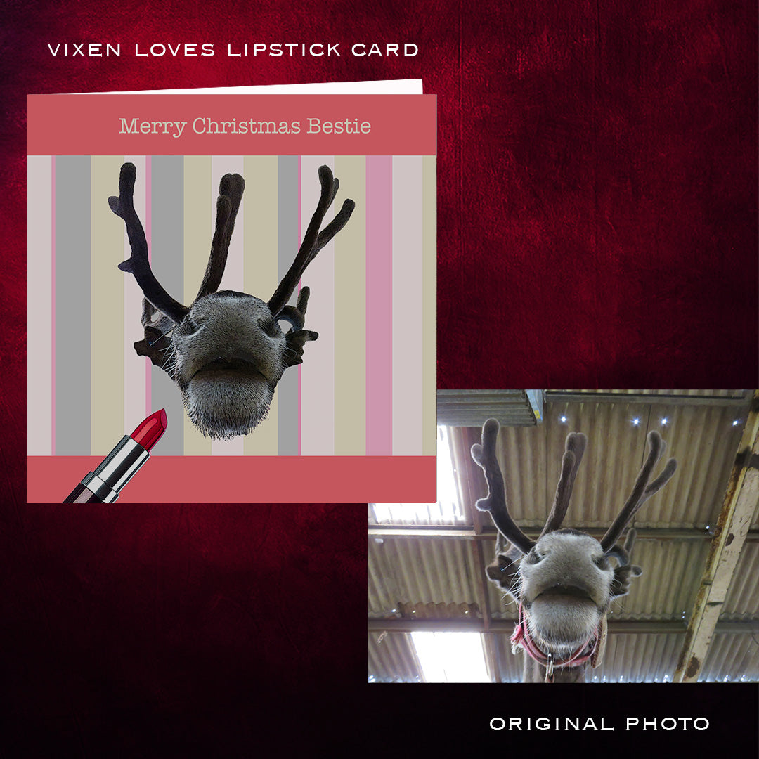 Lipstick card with reindeer design on a red background, next to an original photo of a reindeer.