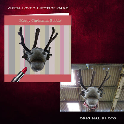 Lipstick card with reindeer design on a red background, next to an original photo of a reindeer.