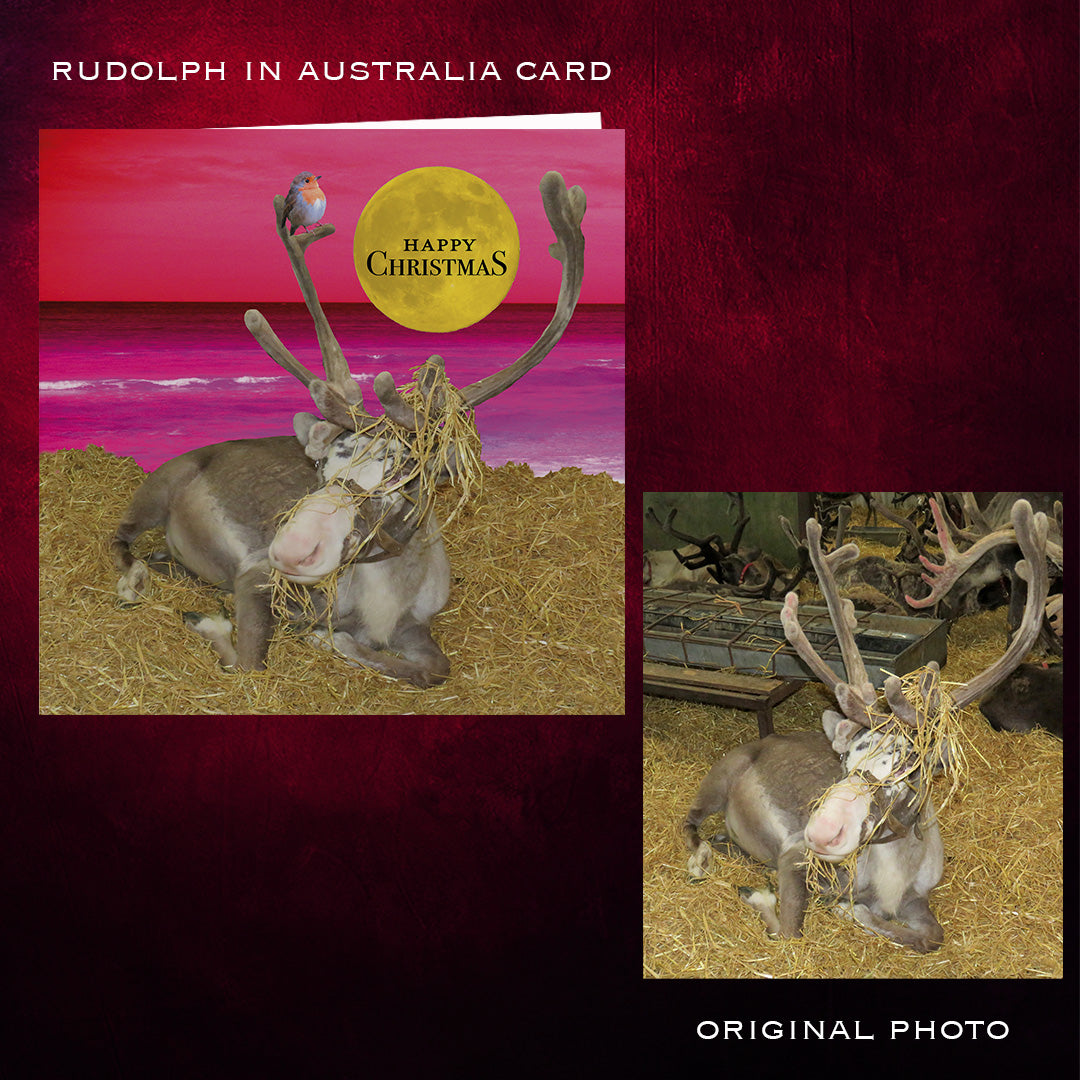Christmas card with reindeer and kangaroo, labeled 'Rudolph in Australia Card'. Before and after.