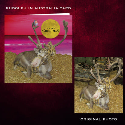 Christmas card with reindeer and kangaroo, labeled 'Rudolph in Australia Card'. Before and after.