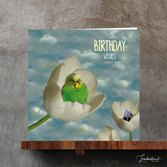 Greeting card with a green budgie bird  on a white flower against a cloudy sky background, with 'Birthday Wishes' text.
