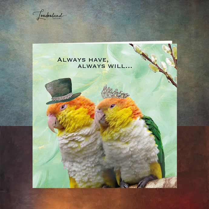 Always Have Always Will, Quirky Budgie Birds Greeting Card