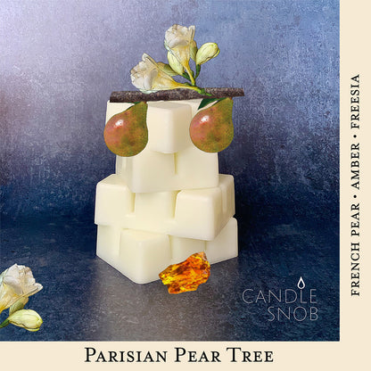 Candle Snob | Parisian Pear Tree | Scented Wax Melt Discovery Sample