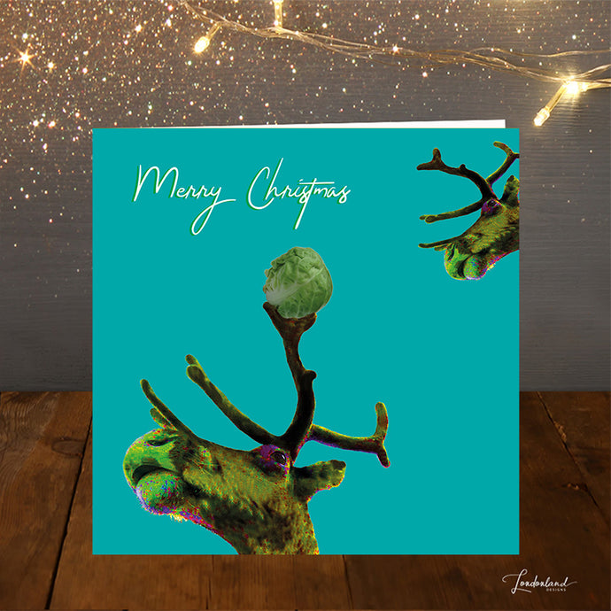 Reindeer Sprout Christmas Card with Brussels turquoise