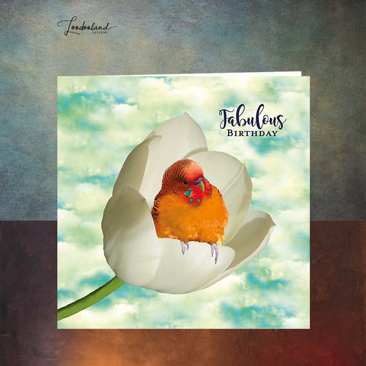 Fabulous Budgie, Orange Bird & White Tulip Birthday card