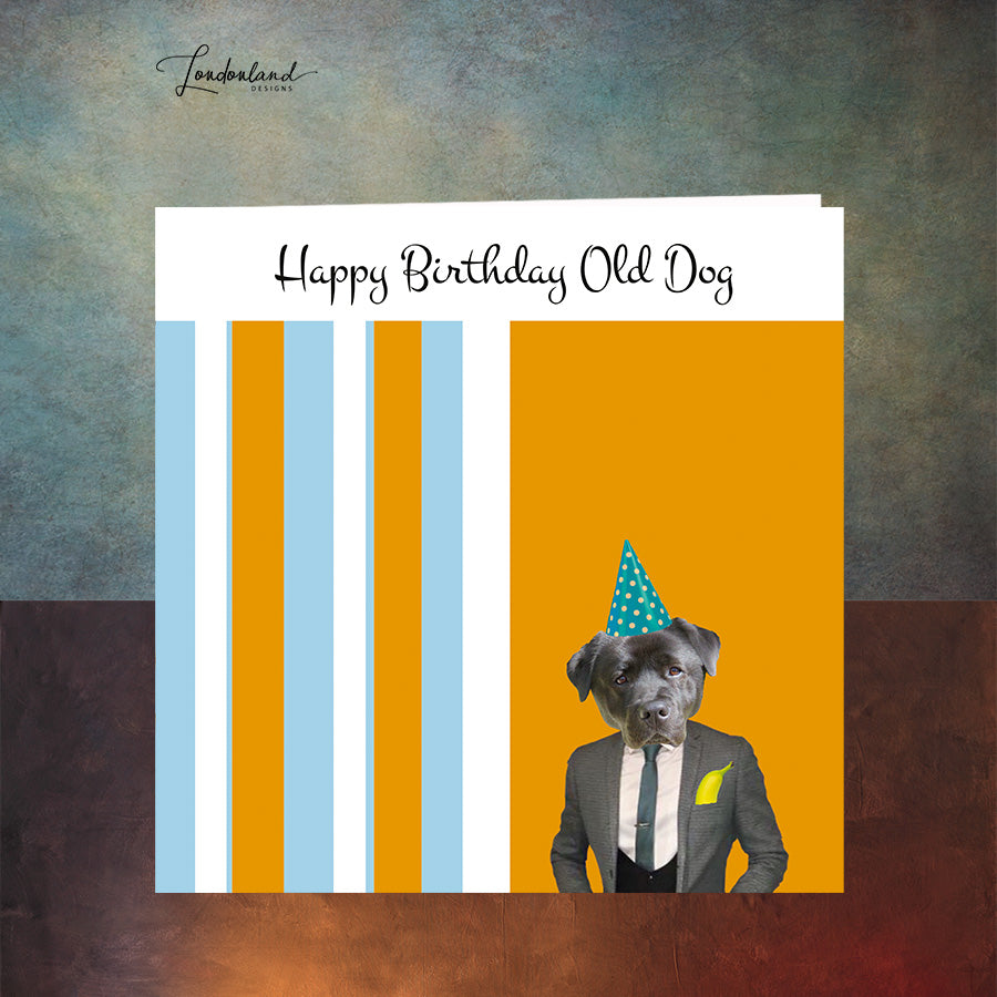 Old Dog Birthday Card. Dog wearing a suit on a stripe background