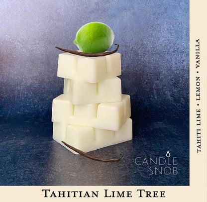 Candle Snob Tahitian Lime Tree wax melts with Tahiti Lime lemon vanilla