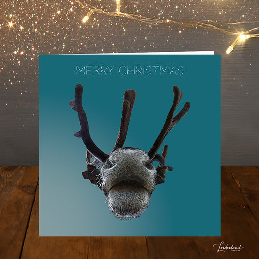 Nosey Reindeers nose and antlers Christmas Card in blue